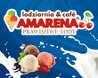 Lodziarnia@Cafe Amarena logo
