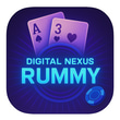 DIGITAL NEXUS ASSOCIATES GAMING SOLUTIONS logo