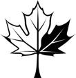MAPLE DESING logo