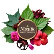 Moalik Herbal Products logo