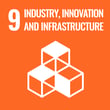 SDG 9