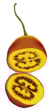 fruits tropicaux - tamarillo