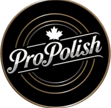 ProPolish Motorcycle Ceramic Coating Port Rowan Ontario Norfolk County