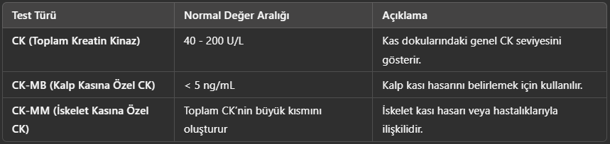 Kreatin Kinaz (CK) Testi Normal Kabul Edilen Değerleri