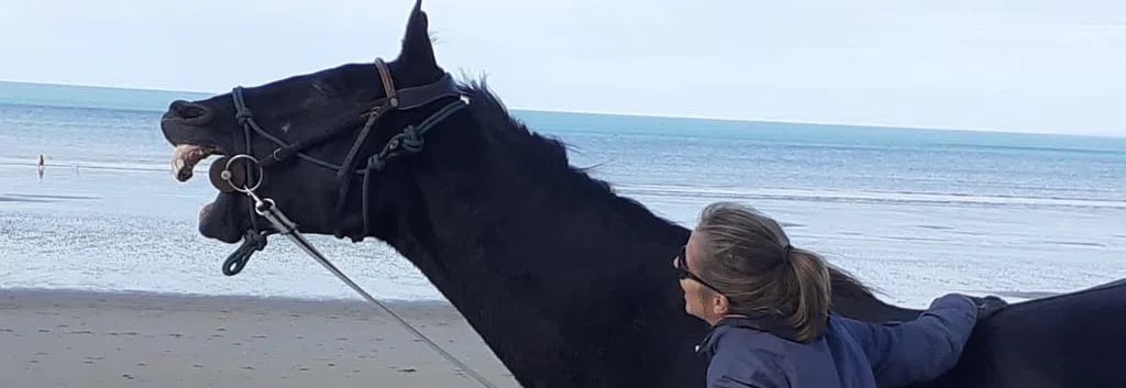 Cheval qui rit sur la plage avec la mer en fond