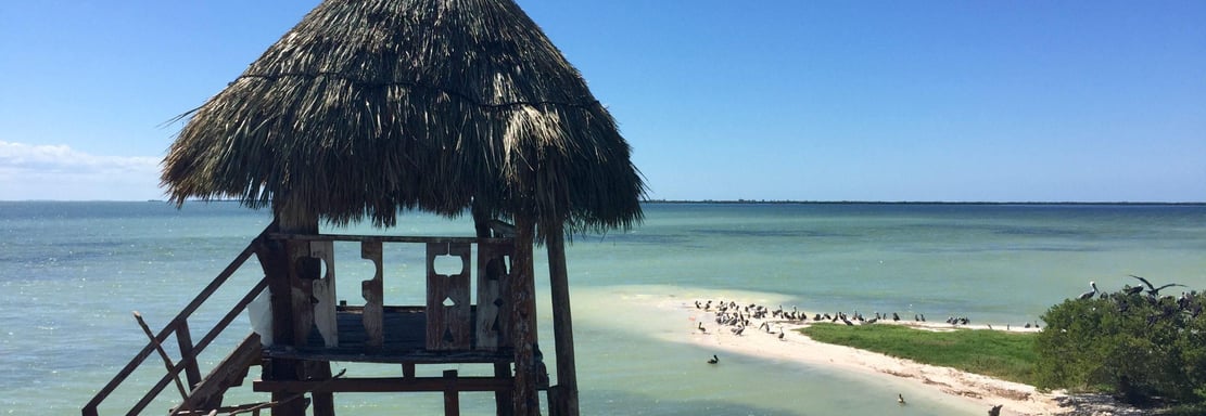 Isla Pasion et Isla Holbox avec Paseo Tours