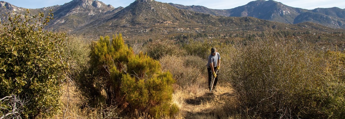 a man walking through a grassy area with mountains in the background