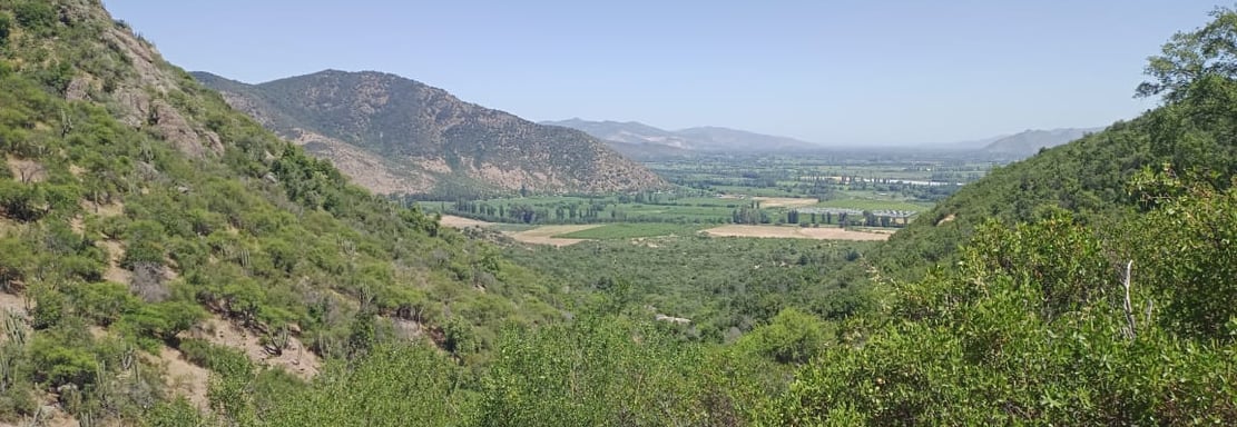 valle del tagua tagua, San Vicente, Cerros, naturaleza