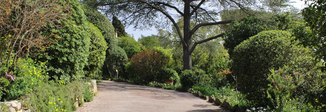 Jardin méditerranéen luxuriant avec l'allée pour accéder à la villa  