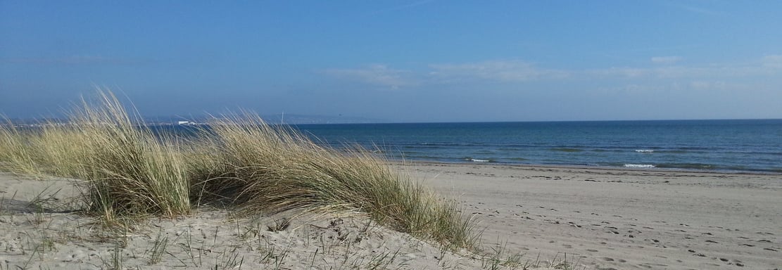 blick auf eine duene, den strand und die ostsee, direkt von unserem strand apartment binz prora