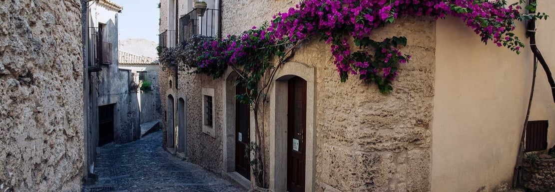a narrow alley with a flowered planter and a potted planter