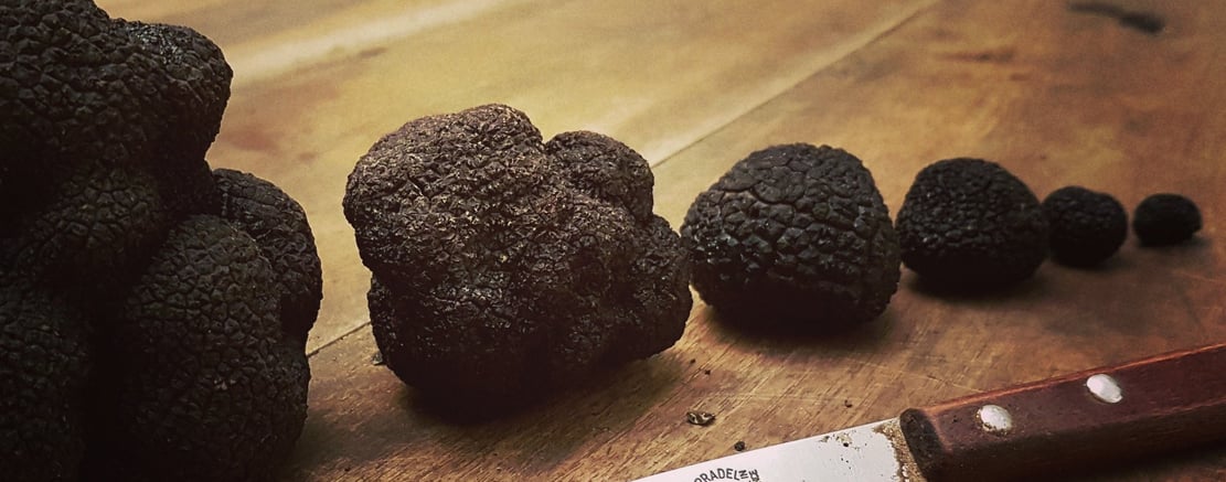 rangée de truffes aligné de la plus grosse à la plus petite