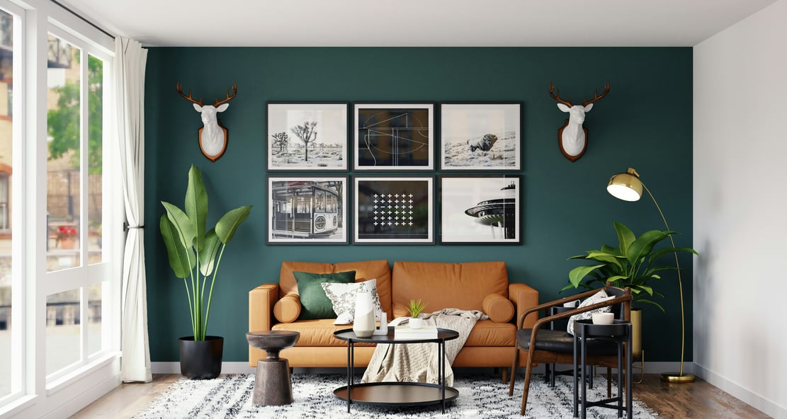 cozy life style living room