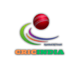 Cric India logo