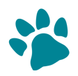 Coussinet chien bleu canard