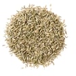 Fennel seeds trader