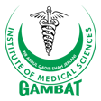 gambat institute of medical sciences logo