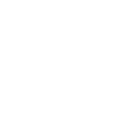 Baltas Vilkas - Kyokushin Karatė Mokykla Vilniuje logo