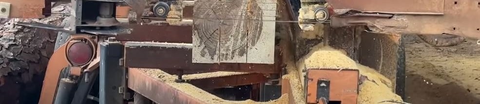 Wood-Mizer LT70 sawing lumber.