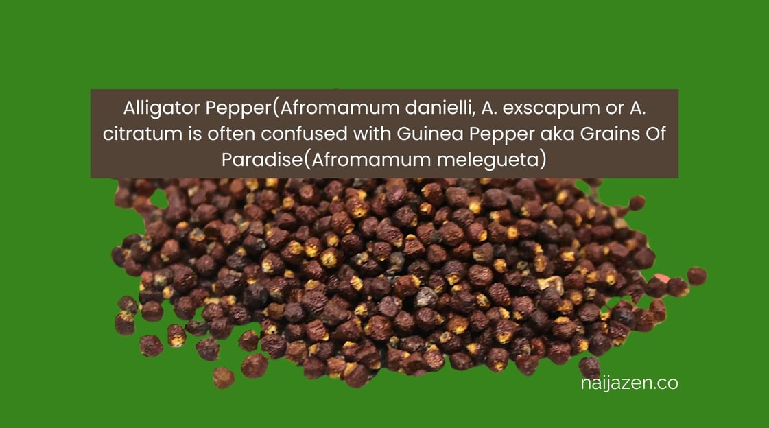 alligator pepper is NOT the same as grains of paradise