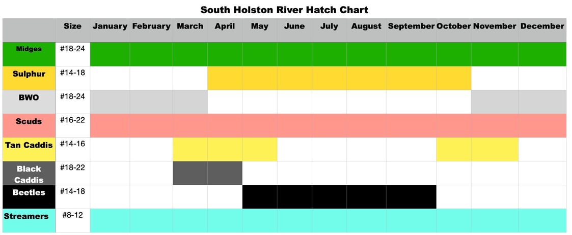 The South Holston River Fly Fishing Hatch Chart