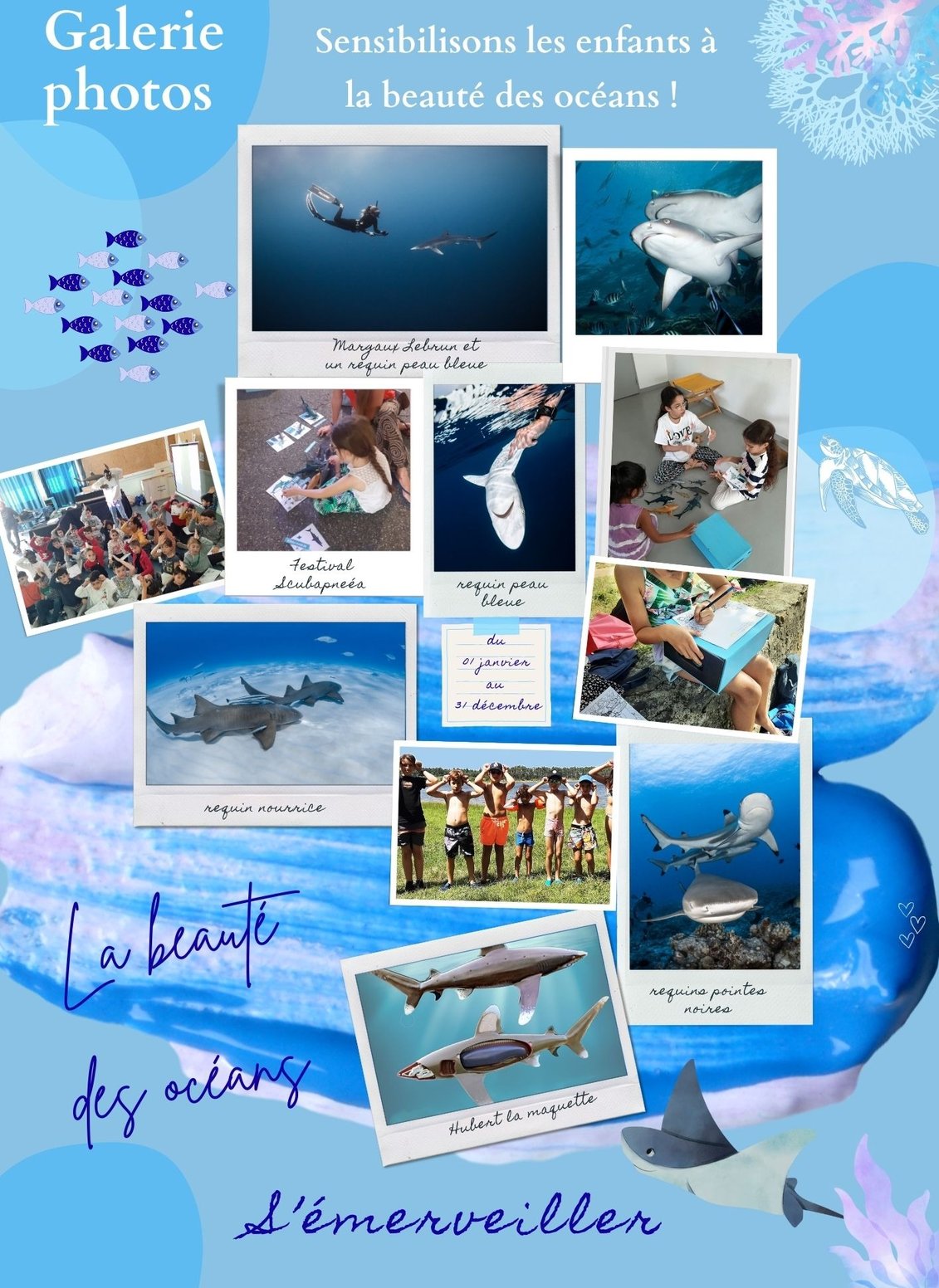 photos d'enfants et de requins