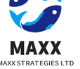 MAXX STRATEGIES LTD logo