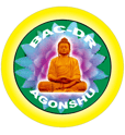 AGONSHU-AFRIQUE logo