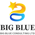 BIG BLUE CONSULTING LTD logo