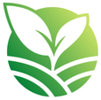 enlace tns logo