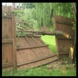 Pressure treated fence showing wind damage