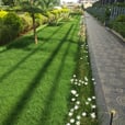 Commercial place walkway side landscaping