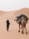 Walking with Nomads in  the Moroccan Sahara chigaga desert trekking