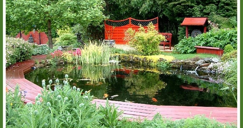 Bassin avec poissons entouré d'1 terrasse bois de bancs et de plantes multicolores