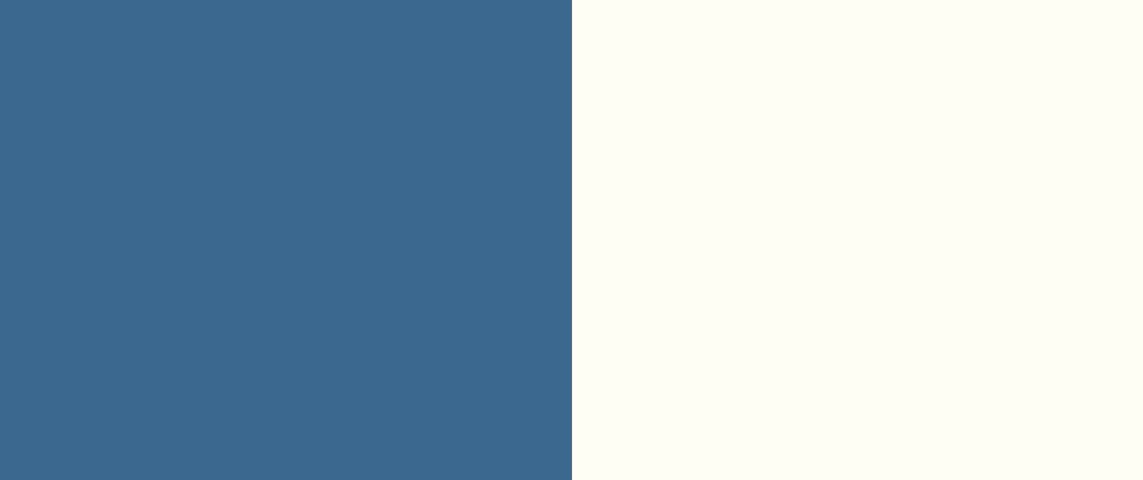 VISUEL 2 COULEURS FOND SITE