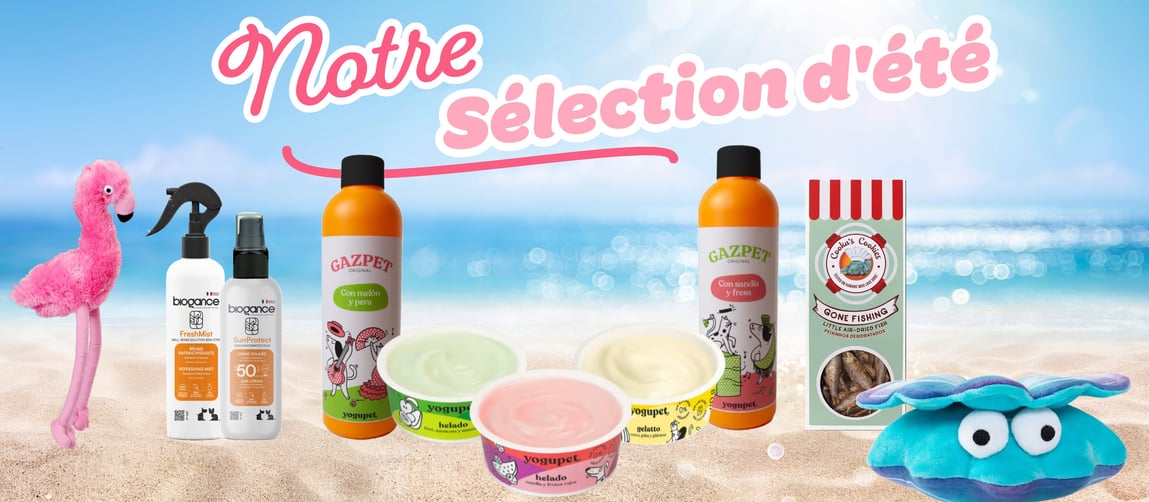 sélection été pour chien