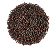 mustard seeds trader