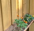 wood fence | garden fence | fishers fence llc