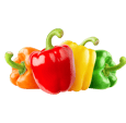 4 Colorful Bellpeppers