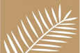 Palm Properties