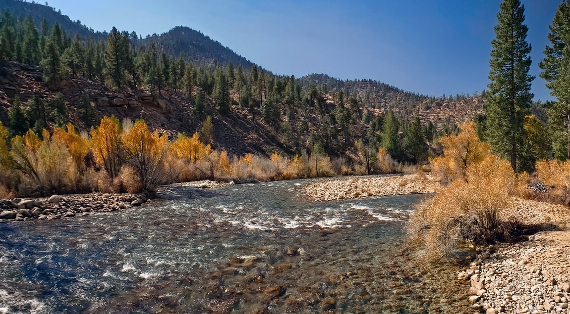 Walker River located in the Walker River Basin in Nevada