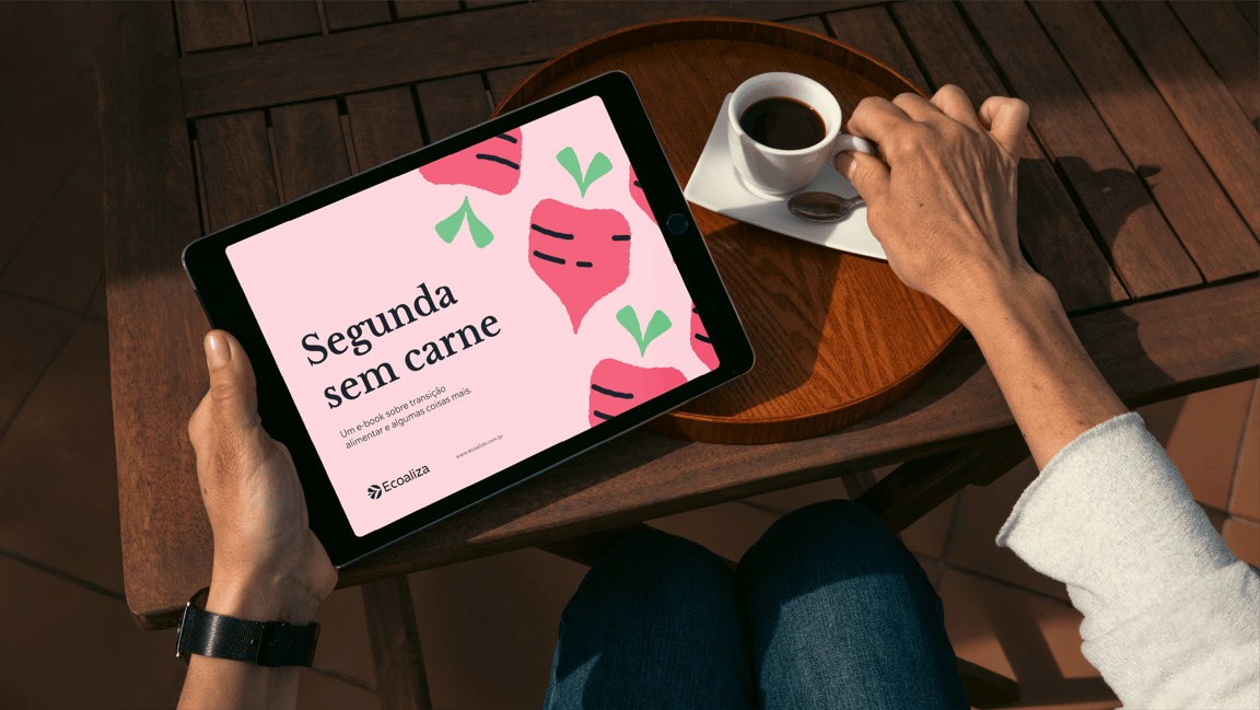 Ecoaliza identidade visual