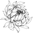 L'Isla Nova logo