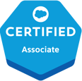 Salesforce Associate