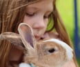 Willow and bubba the dutch rabbit