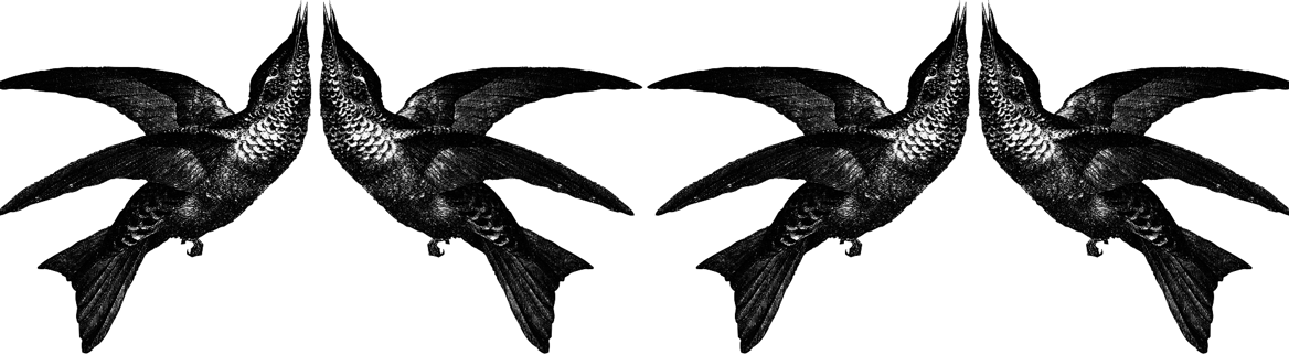 Kleine dekorative Vögelchen aus dem THESING2e-Logo