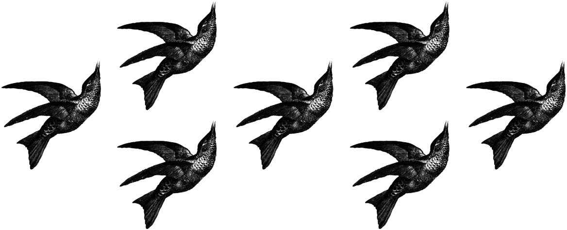 Viele kleine Vögel aus dem Logo-Design zur Dekoration