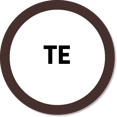 Terapia do Esquema