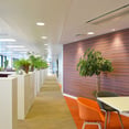 oficina para Lilly Laboratories con paredes acusticas y falso techo modular