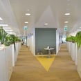pasillo de oficina Lilly con alfombra beige y panel acustico en las paredes